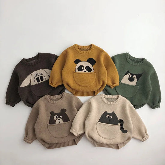 Animal Stitch Print Boys Sweater